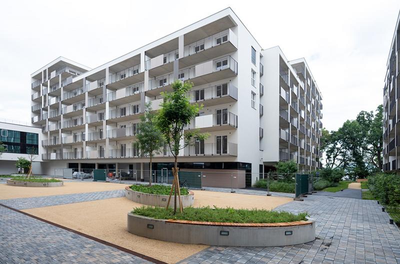 Ingenieurbüro Wien, Ingenieurbüro Graz